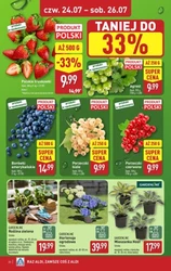 Rabatowe szaleństwo - Aldi