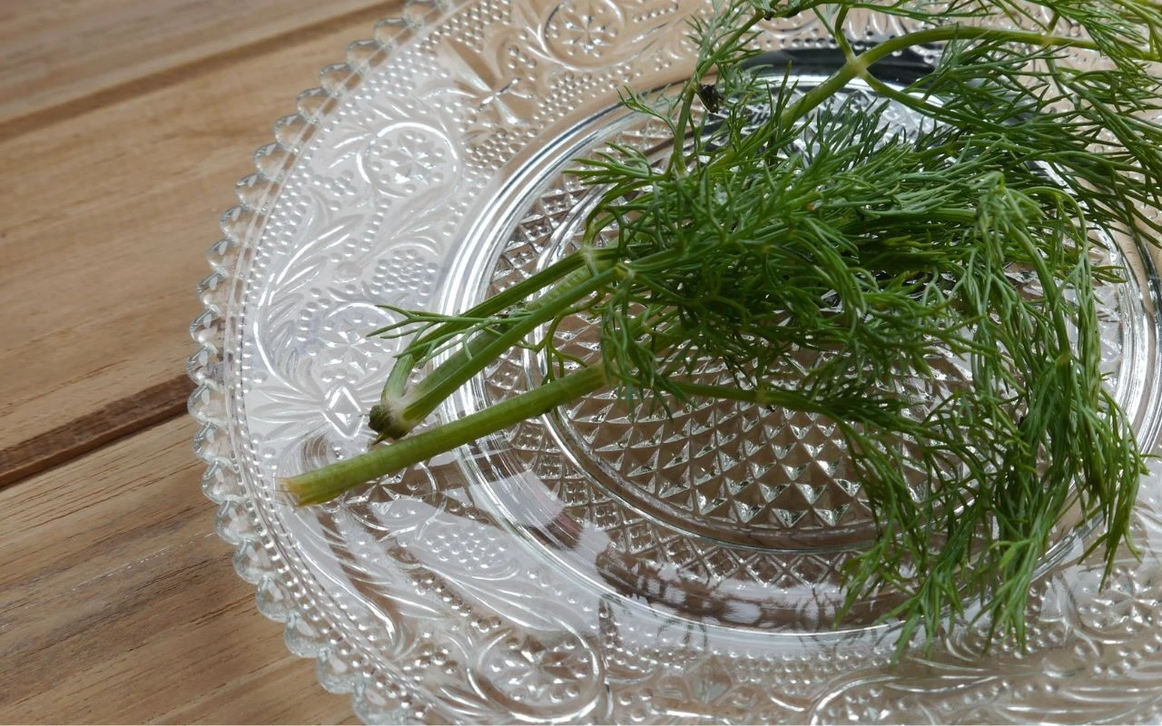 Jak przechowywać koperek, by długo zachował świeżość? Przed włożeniem koperku do lodówki warto owinąć go ręcznikiem papierowym lub umieścić w szklanym słoiku.