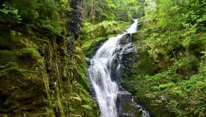 Widoki jak z powieści fantasy. To magiczne miejsce znajduje się w Polsce