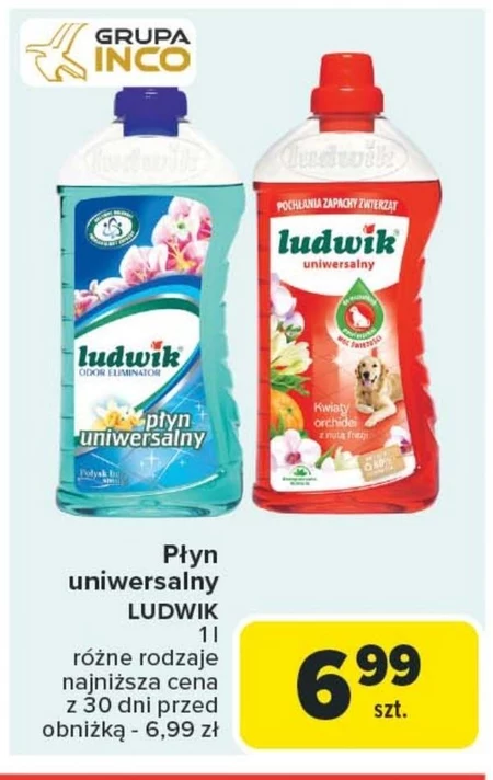 Płyn uniwersalny Ludwik