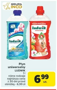 Płyn uniwersalny Ludwik