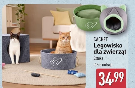 Лігво Cachet