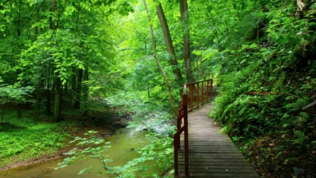 Ścieżka Hochbergów - niezwykłe miejsce blisko Zamku Książ 