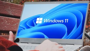 Windows 10 naprawdę odchodzi do lamusa? Gracze sięgają po nowszy system