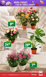 POLOmarket - Pobierz apkę i oszczędzaj