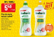Płyn do naczyń Ludwik