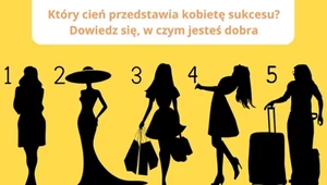 Psychotest: Który cień to kobieta sukcesu? Sprawdź, w czym jesteś najlepsza 