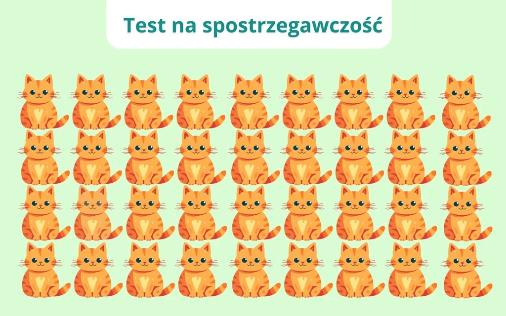 Test na spostrzegawczość: Który kot jest inny? Test na spostrzegawczość: Który kot jest inny?