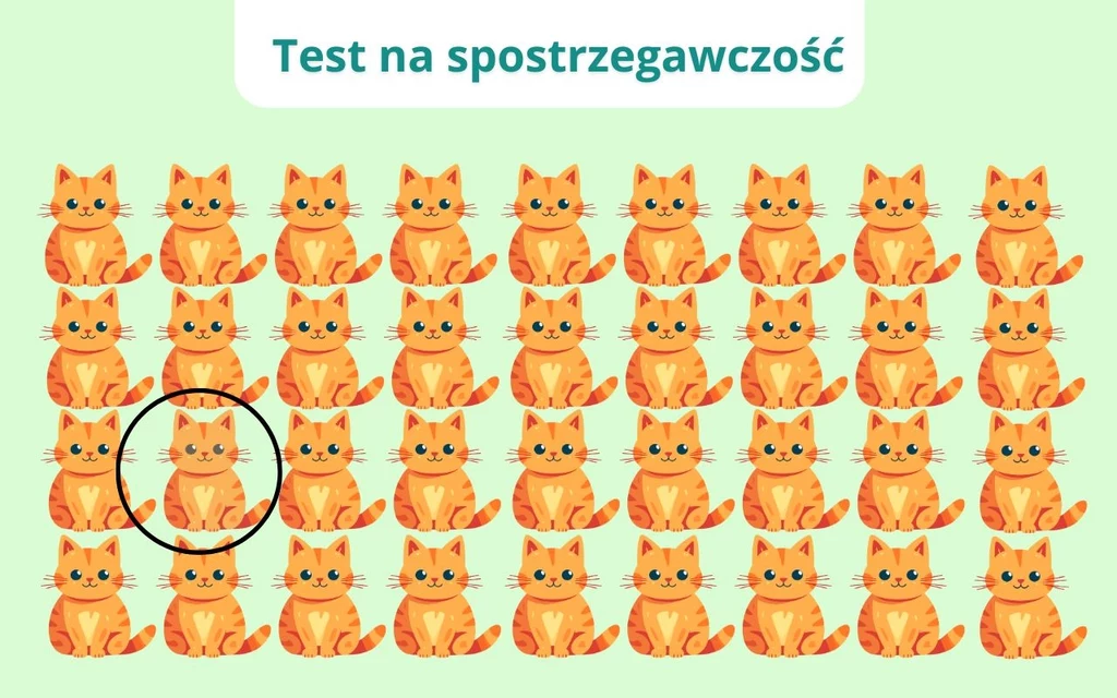 Poprawne rozwiązanie Wielokrotnie powielone ilustracje pomarańczowych kotów ustawione w kilku rzędach na jasnym tle, jeden z kotów w środkowej części po lewej stronie jest oznaczony czarnym okręgiem, co sugeruje element testowy lub zagadkę.