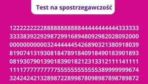 Masz bystre oko? Sprawdź, czy wypatrzysz wszystkie szóstki w 10 sekund