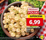 Porzeczki Białe