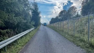 Tragedia przy trasie S1. Nie żyje 12-latek