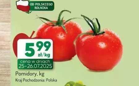 Помідори
