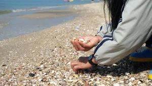 Zabierają jako pamiątkę, na lotnisku przeżywają szok. Przeczytaj, zanim stracisz kilkanaście tysięcy złotych