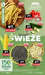 Wakacyjne inspiracje w Netto