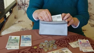 Będzie 800 plus dla emerytów? Ważna petycja w Sejmie