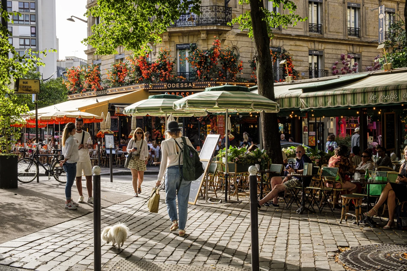 Tętniąca życiem ulica z ludźmi spacerującymi i odpoczywającymi przy stolikach kawiarni na świeżym powietrzu, liczne parasole i kwiaty zdobiące budynek, pies na smyczy na pierwszym planie.