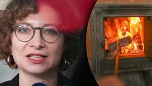 Kryzys "Czystego Powietrza", posłanka alarmuje. "Nie do przyjęcia" 