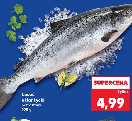 Łosoś