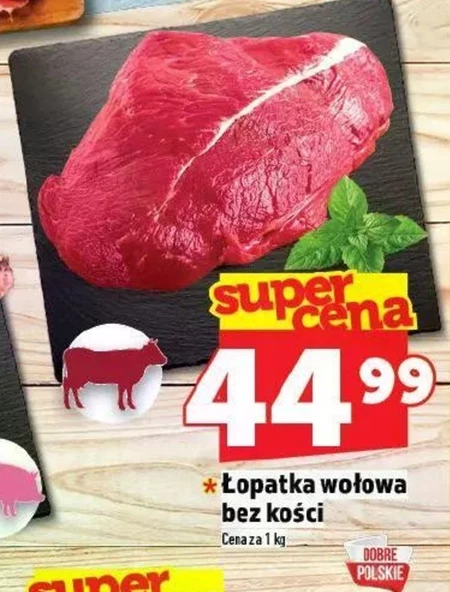 Безкісткова лопатка