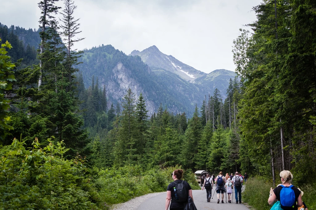 Wędrówka po górach z aplikacja Google Maps może być tragiczna w skutkach.