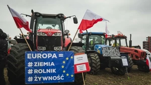Polska skazana na niekorzystną umowę? Wspierają nas tylko dwa kraje UE