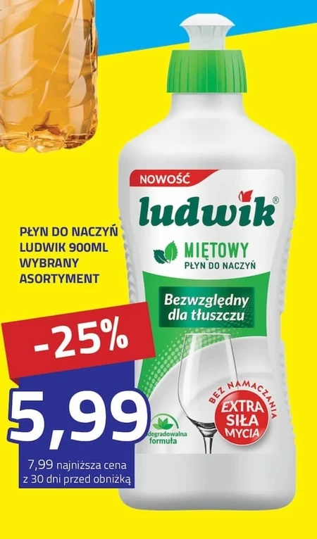 Засіб для миття посуду Ludwik