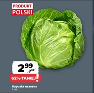Kapusta Polski