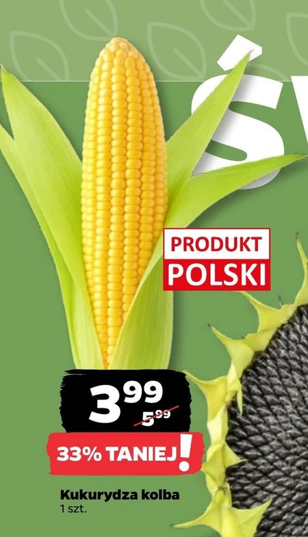 Kukurydza Polski