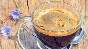 Mniej kofeiny, wsparcie dla jelit i wątroby. Kawa z cykorią to naturalny probiotyk