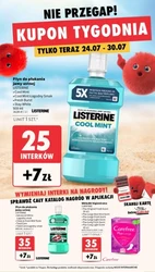 Gorące hity w Intermarche