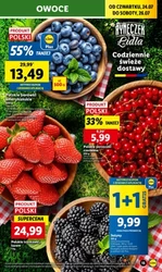 Lidl - Wszystko czego chcesz w koszyku