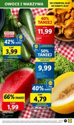 Lidl - Wszystko czego chcesz w koszyku