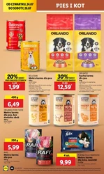 Lidl - Wszystko czego chcesz w koszyku