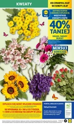 Lidl - Wszystko czego chcesz w koszyku