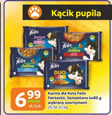 Karma dla kota Felix
