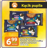 Karma dla kota Felix