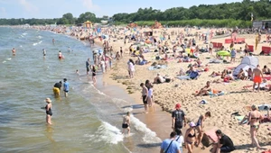 Oparzenie po kąpieli w Bałtyku? Przyczyną jest groźne zwierzę