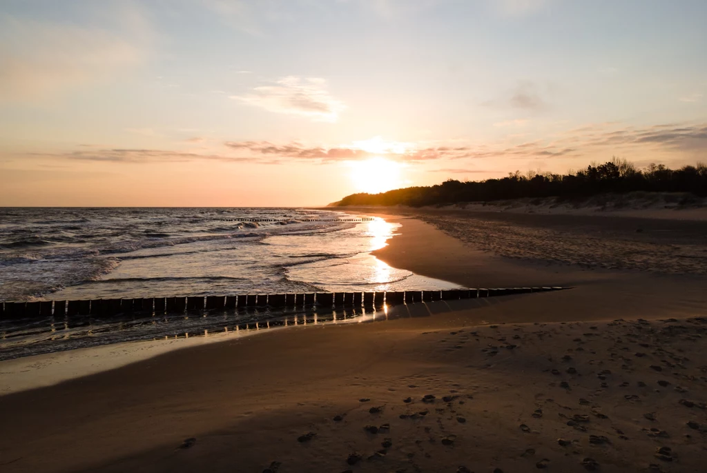 Plaża morska o zachodzie słońca, fale delikatnie obmywają brzeg, na piasku widoczne ślady ludzkich kroków, z lewej strony wbite drewniane falochrony, na horyzoncie linia drzew.