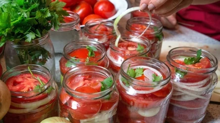 Pomidory w plastrach będą pysznym dodatkiem do kanapki