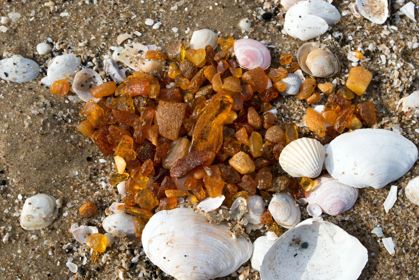 Gdzie można znaleźć bursztyn? Na tych plażach jest go najwięcej.