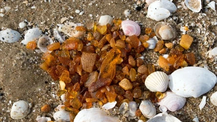 Gdzie można znaleźć bursztyn? Na tych plażach jest go najwięcej.