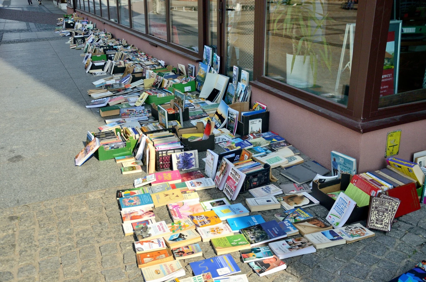 Na niektórych starych książkach można sporo zarobić. Na niektórych starych książkach można sporo zarobić.