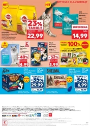 Fresh promocje w Kauflandzie