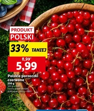 Смородина