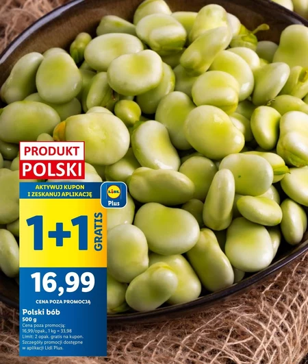 Bób Plus-Plus