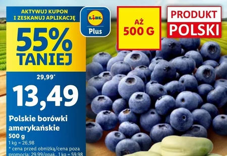 Borówki amerykańskie