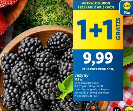 Jeżyny