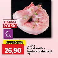 Królik Rzeźnik