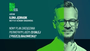 Polska puszcza to światowy unikat. Mamy bezcenne relikty
